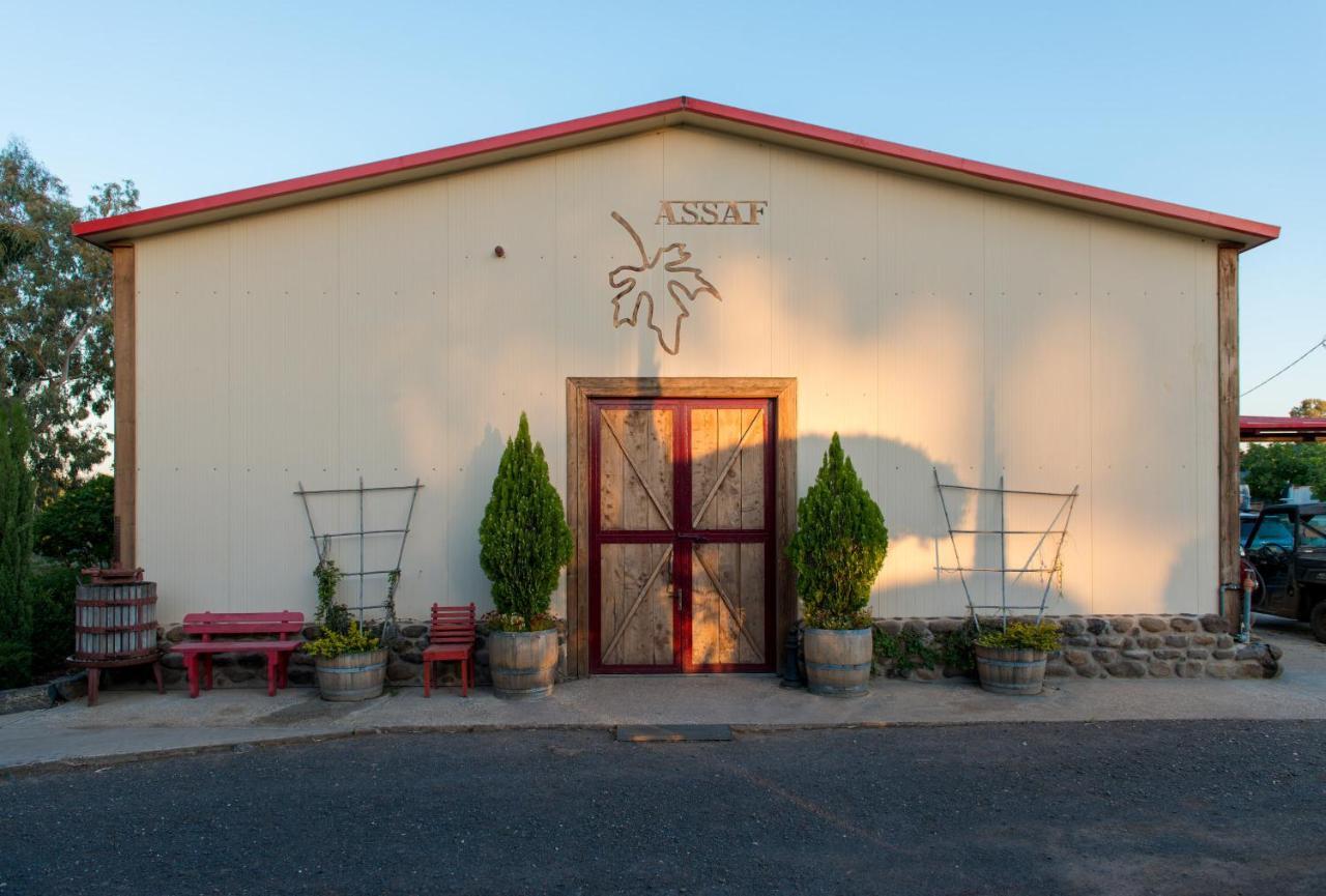 Assaf Boutique Winery & Cabins Kidmat Tsvi Eksteriør bilde